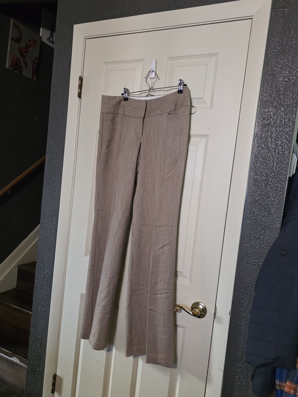 Women's Editor Taupe Boot-Cut Dress Pants 34" Inseam